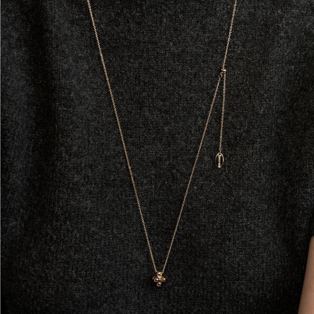 HEI berry pendant long necklace